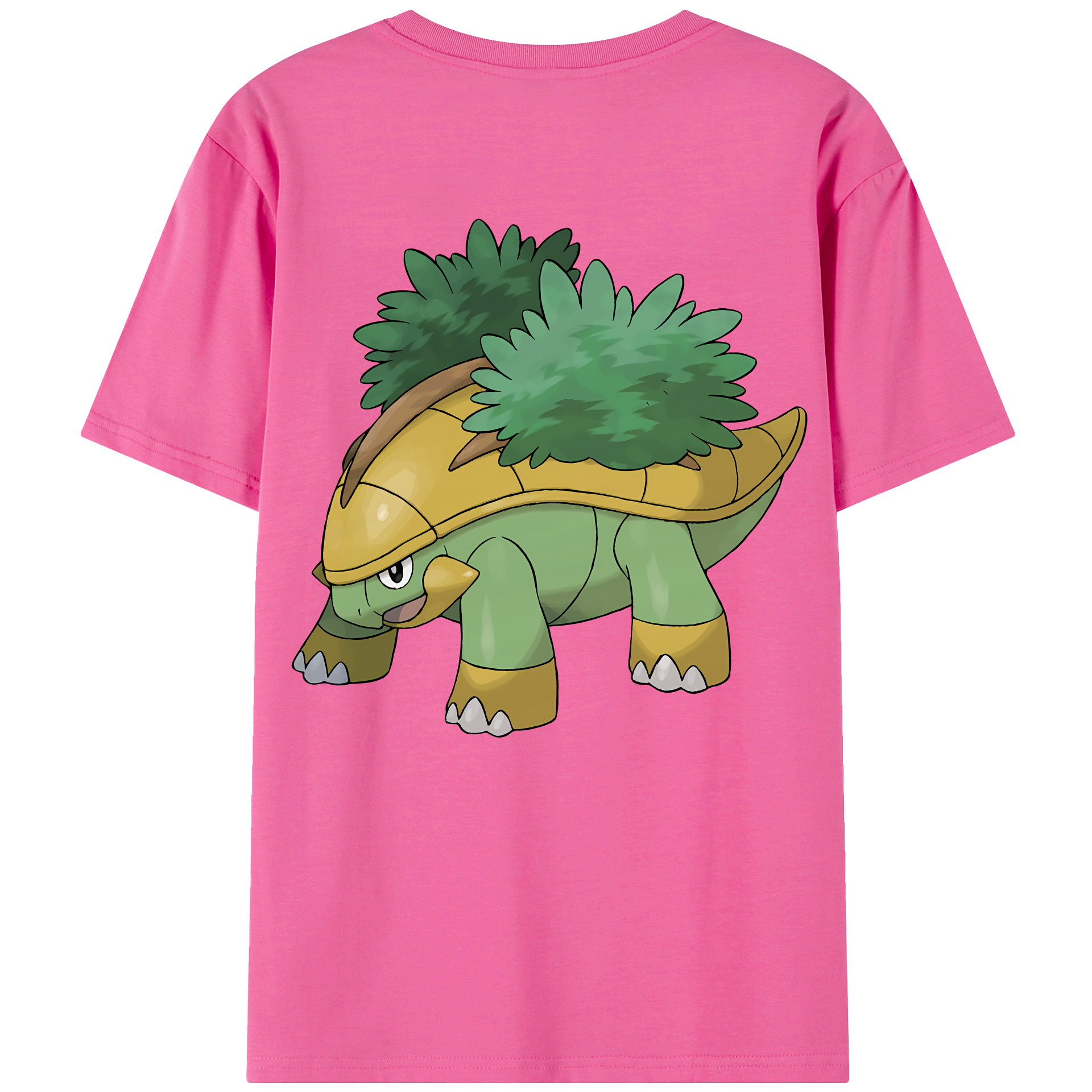 （画像用） ポケットモンスター Pokémon レディース半袖Tシャツ(バックプリント)
